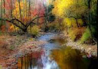 AWT IMAGE